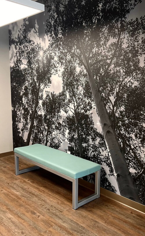 Photo featuring the newly remodeled leasing office, detail natural black and white tree mural